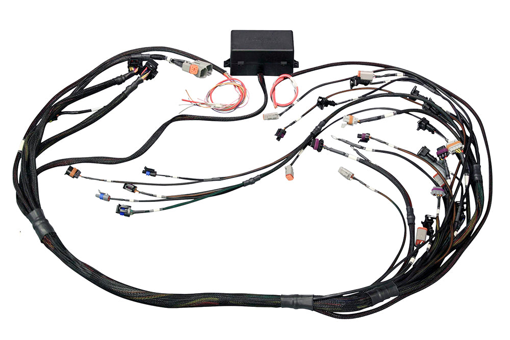 Haltech - Haltech GM GEN IV (LS2/LS3) DBW Ready Elite 2500 Terminated Harness w/EV1 Injector Connectors - HT-141366