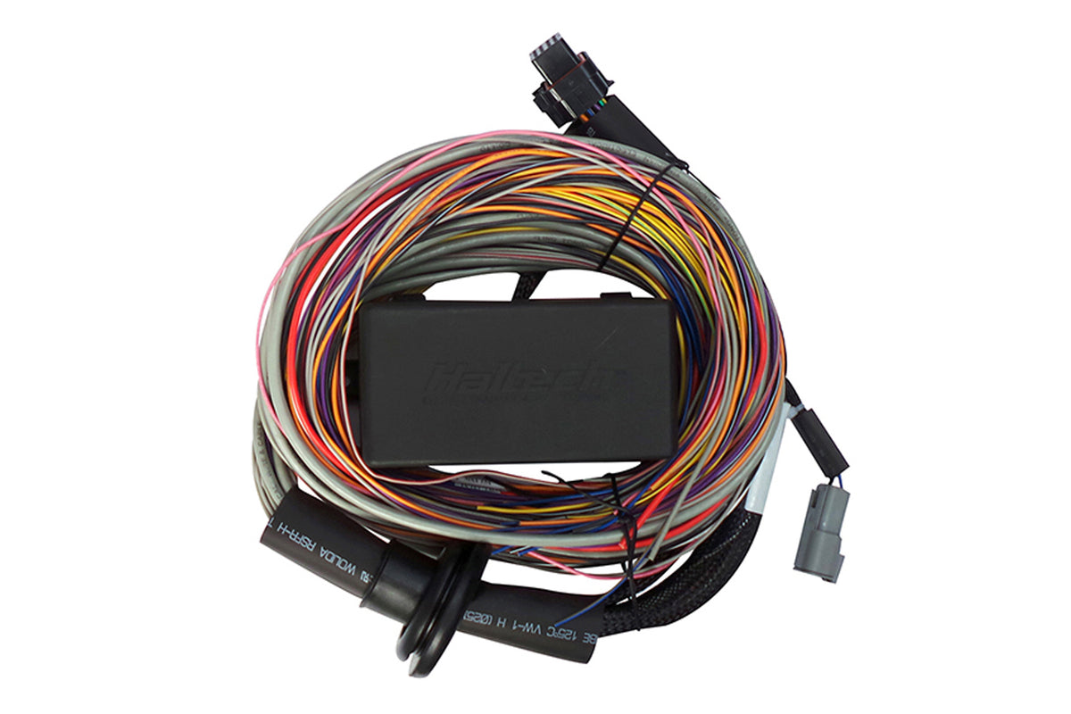 Haltech - Haltech Elite 750 Premium Universal Wire-In Harness ECU Kit - HT-150604
