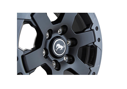 Ford Performance - 2021-2024 Bronco 17" X 8" Beadlock Capable Wheel Kit - Badlands - M-1007K-DC178B