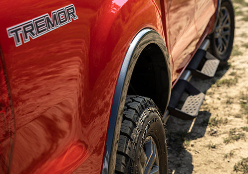 Ford Performance - Ranger Off-road Hoop Steps - M-16450-RTS