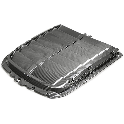 Ford Performance - 2020-2022 Gt500 Carbon Fiber Hood Vent Kit - M-16612-C20