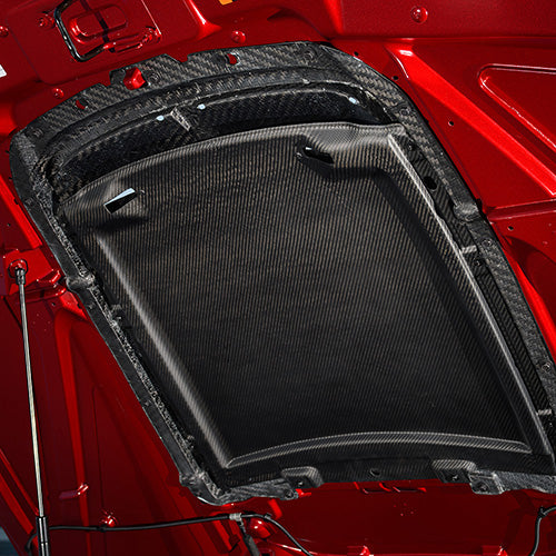 Ford Performance - 2020-2022 Gt500 Carbon Fiber Hood Vent Kit - M-16612-C20
