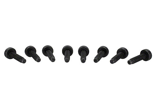 Ford Performance - Tube Door Grab Handle - M-19008-BTDG