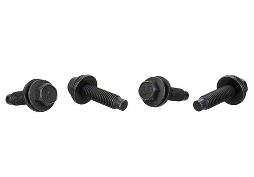 Ford Performance - Bead Lock Ring Bolt Kit - M-503317K-BOLT
