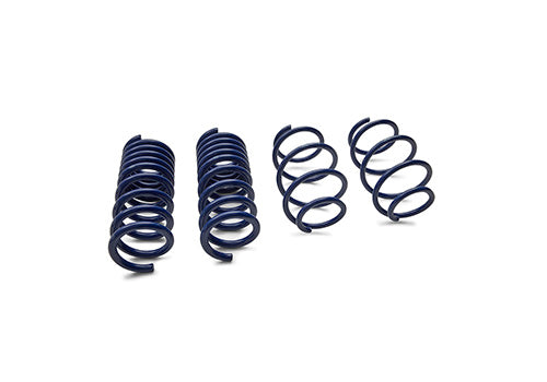 Ford Performance - 2015-2024 Mustang Street Lowering Spring Kit - M-5300-S65S