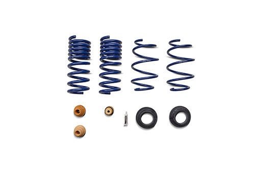 Ford Performance - 2015-2024 Mustang Street Lowering Spring Kit - M-5300-S65S