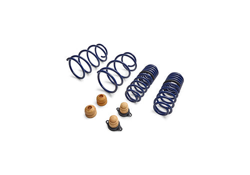 Ford Performance - 2012-2013 Boss 302 Lowering Springs - M-5300-T