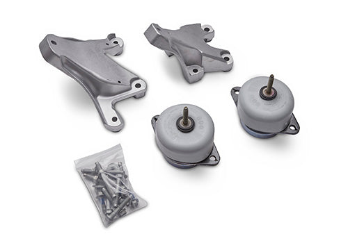 Ford Performance - 5.0l Coyote Engine Mount Kit - M-6038-M50