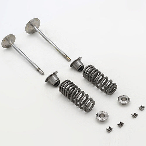 Ford Performance - 5.2l Cylinder Head Valve Train Kit - M-6505-FP350S