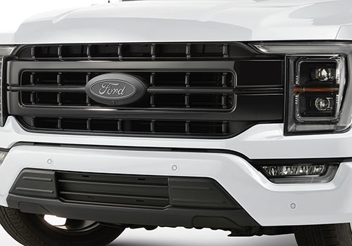 Ford Racing 2021 F-150 Black Painted Grille - M-8200-F15A