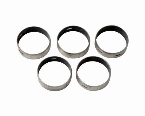 Ford Performance - Camshaft Bearings - M-6261-J351