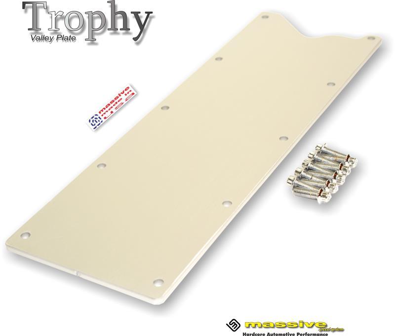 Copy of Massive Trophy Valley Plates - Knock Sensor Eliminated - GM LS Gen III Engines - Massive Speed System