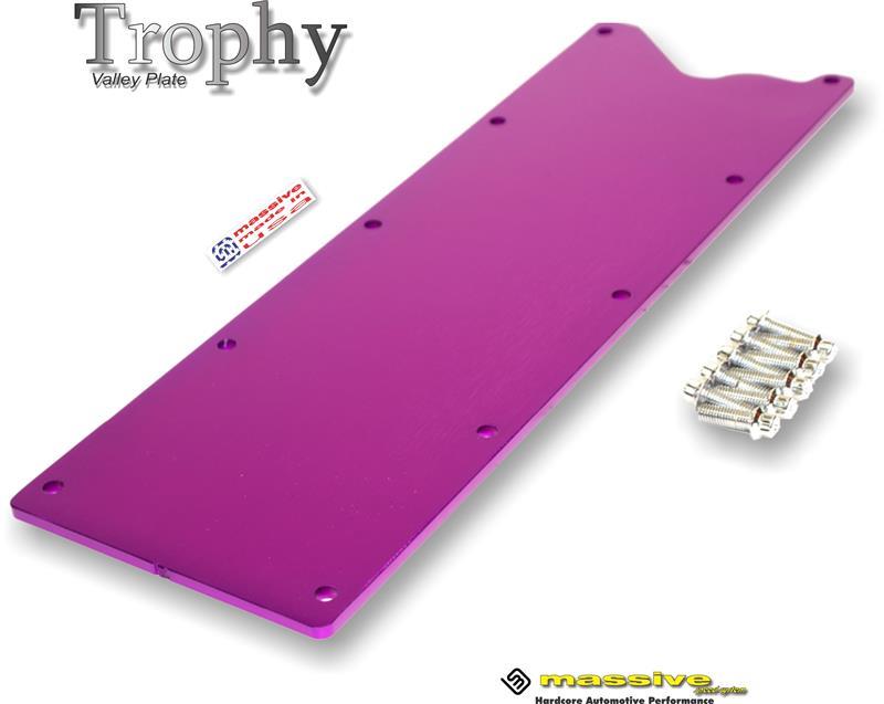Copy of Massive Trophy Valley Plates - Knock Sensor Eliminated - GM LS Gen III Engines - Massive Speed System