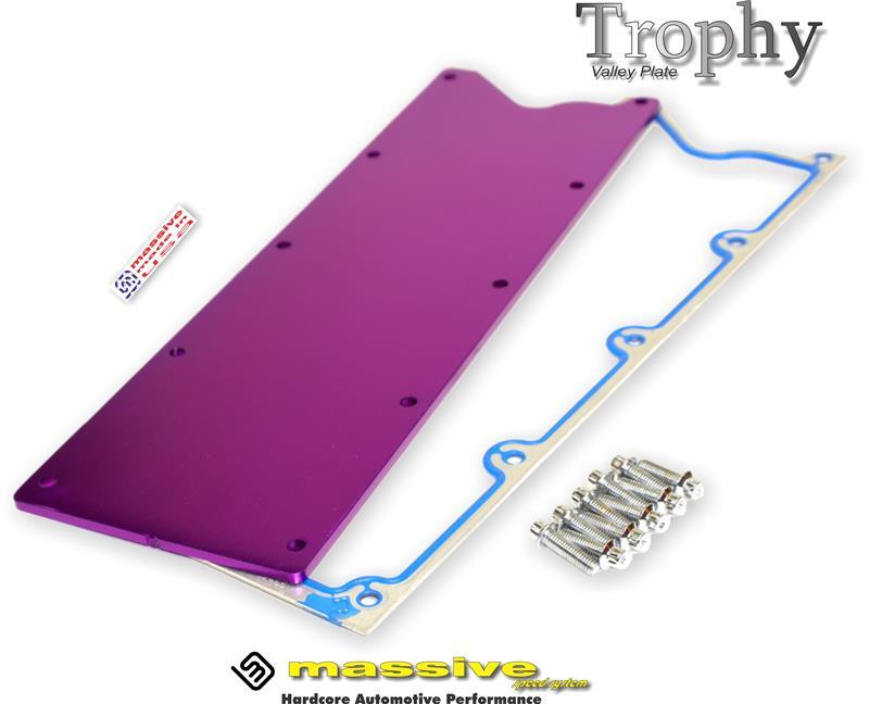 Copy of Massive Trophy Valley Plates - Knock Sensor Eliminated - GM LS Gen III Engines - Massive Speed System
