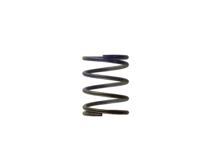 Clearance - Turbosmart WG40 7PSI Middle Spring Brown/Purple - TS-0505-2003