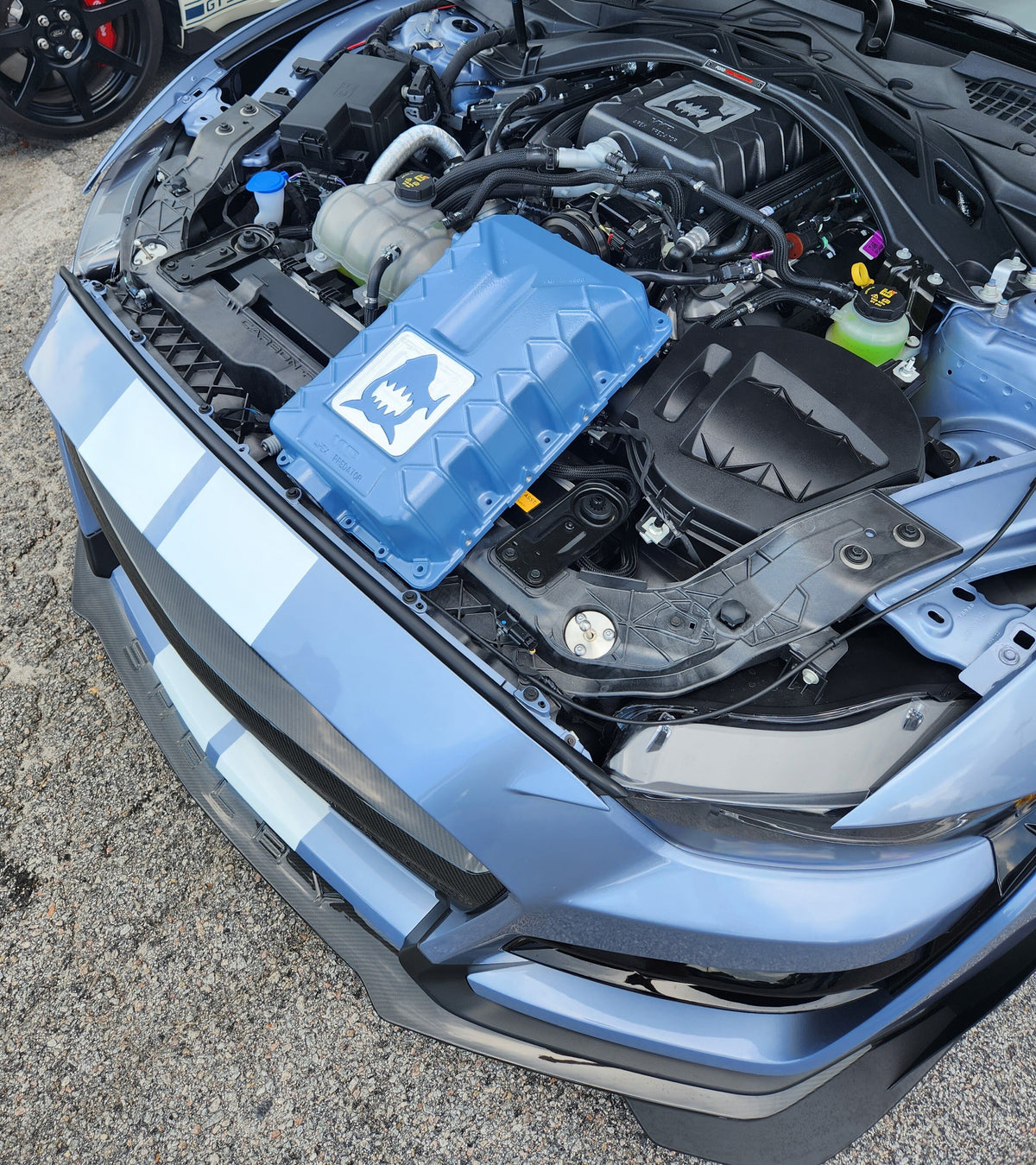 VMP Apex Predator Supercharger Lid - Custom Powdercoat Color - '20+ GT500 & '23+ Raptor 5.2 L