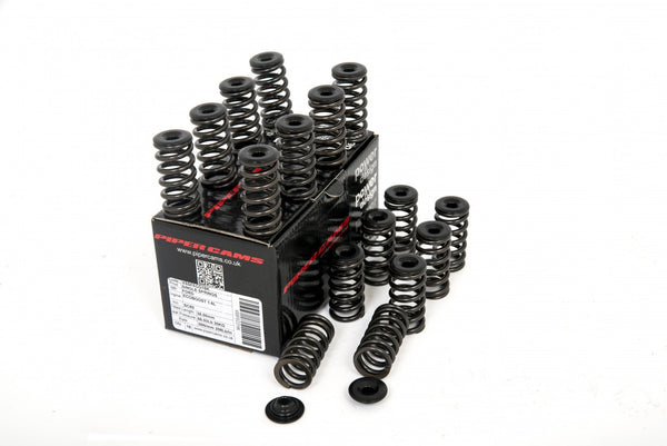 Piper Cams Ford 1.6 Ecoboost - Single Spring Kit - VSSFECO16K