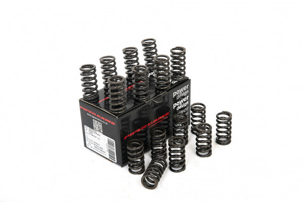 Piper Cams Ford Ecoboost 1.6 - Single Spring Set