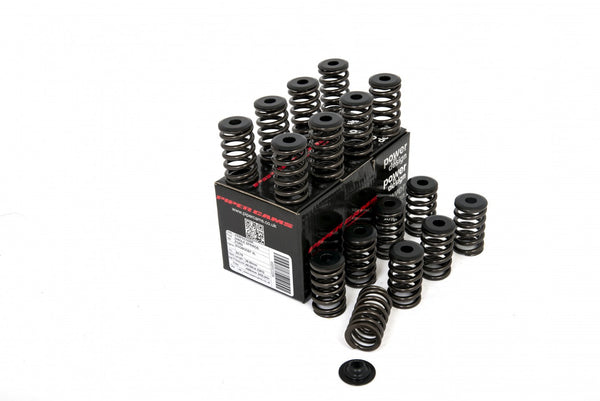 Piper Cams Ford Ecoboost 2.0 - Single Spring Kit - VSSFECO20K