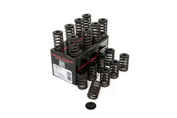 Piper Cams Ford Ecoboost 2.3 - Single Spring Kit - VSSFECO23K