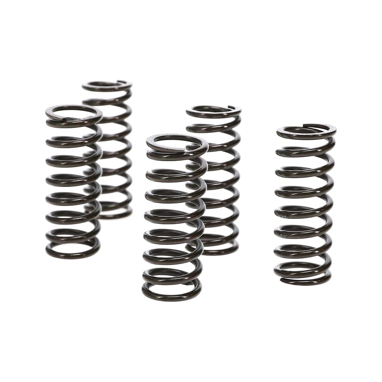 Wiseco 10-13 Honda CRF250R Clutch Spring Kit - CSK050
