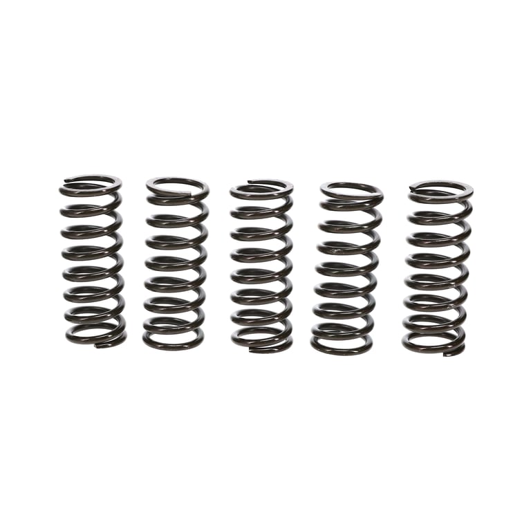 Wiseco 10-13 Honda CRF250R Clutch Spring Kit - CSK050