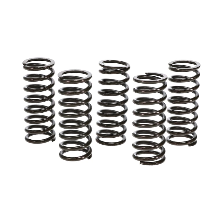 Wiseco 10-13 Honda CRF250R Clutch Spring Kit - CSK050