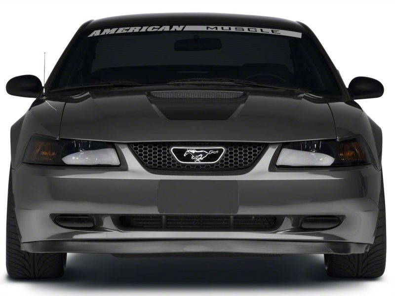 Raxiom 99-04 Ford Mustang Excluding Cobra Fog Lights- Smoked - 49139