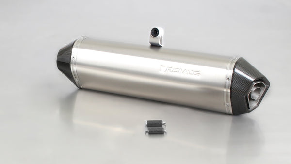 Remus 08-12 BMW F 650 GS E8GS 52 kW Hexacone Titanium Slip On - 4882 085208 by Remus