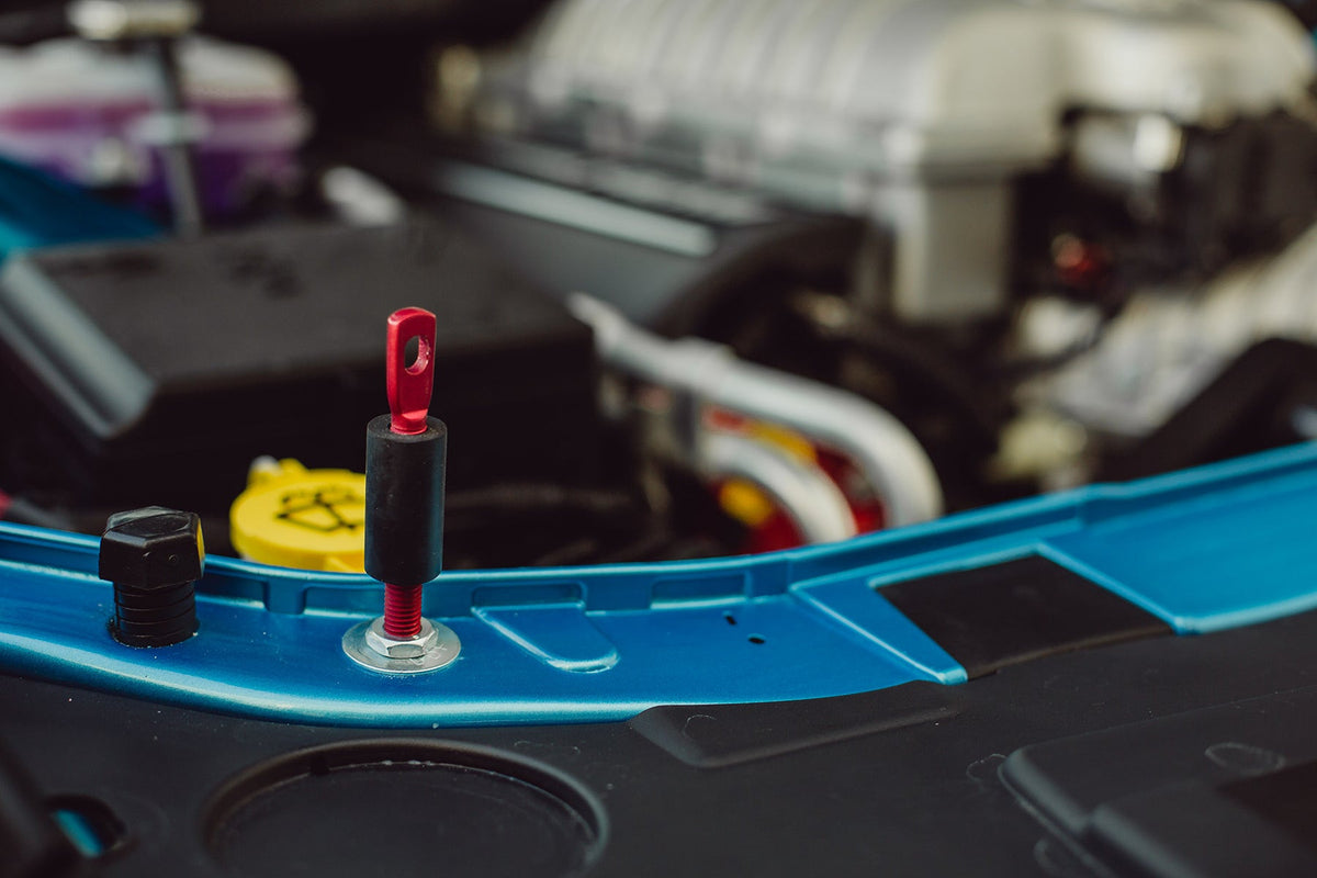 Anderson Composites 18-23 Dodge Challenger Type-DP Fiberglass Demon Style Cowl Hood - AC-HD18DGCHDM-KB-GF