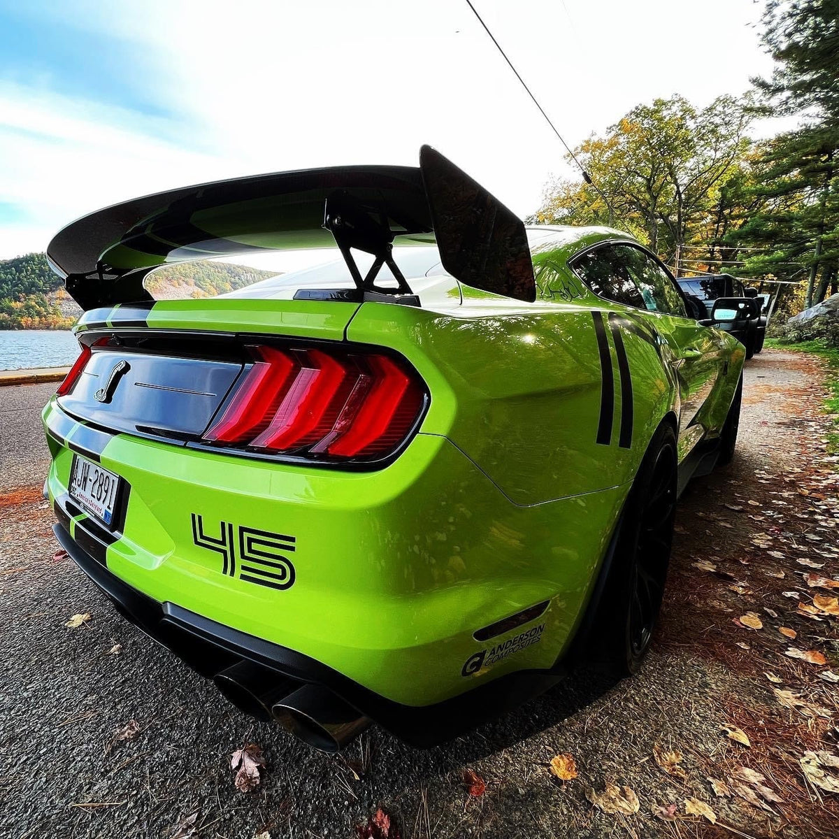 Anderson Composites 20-22 Ford Mustang GT500 Type-TPW Carbon Fiber Track Pack Wing - AC-RS20FDMU500-TPW