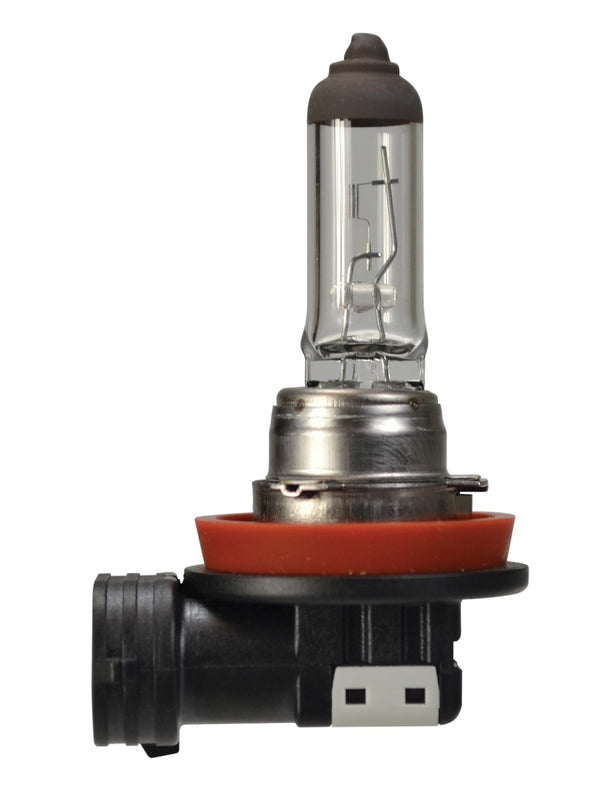 Hella Bulb H16 12V 19W Pgj193 Sb - H16SB for 2013-2021 Toyota RAV4 - front view