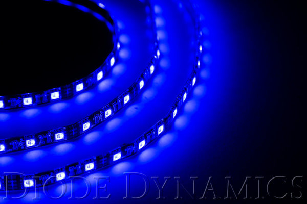 Diode Dynamics LED Strip Lights - Blue 50cm Strip SMD30 WP - DD2200 by Diode Dynamics - front view