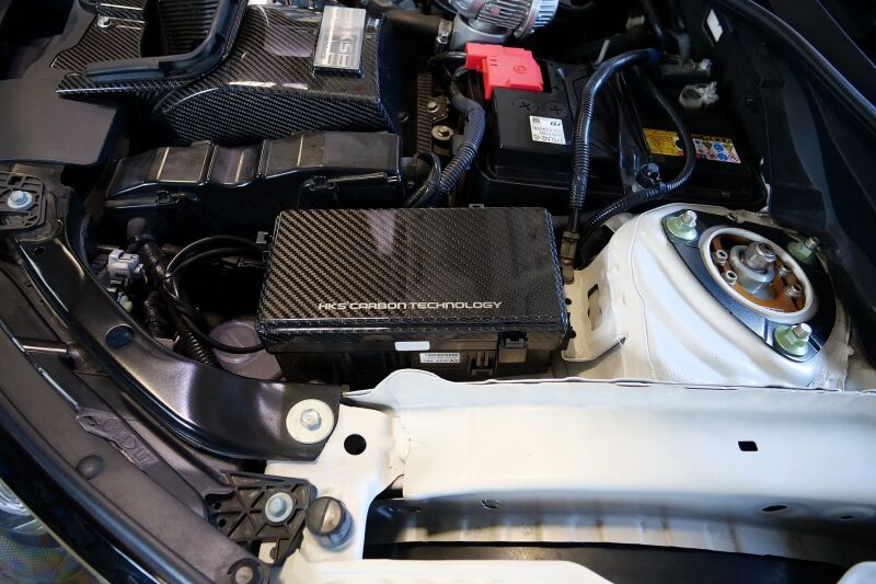 HKS DRY CARBON FUSE BOX COVER FK8 - 70026-AH015