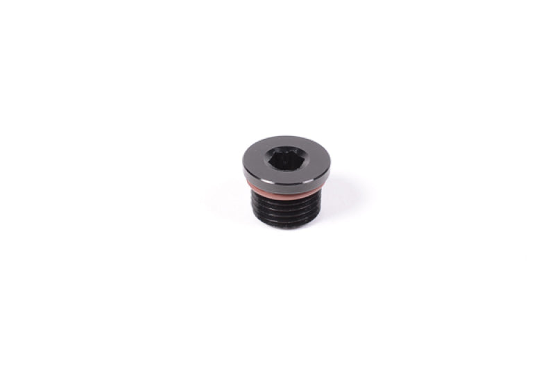 Radium Engineering Universal 10AN  Orb Plug - 14-0351 by Radium Engineering - front view