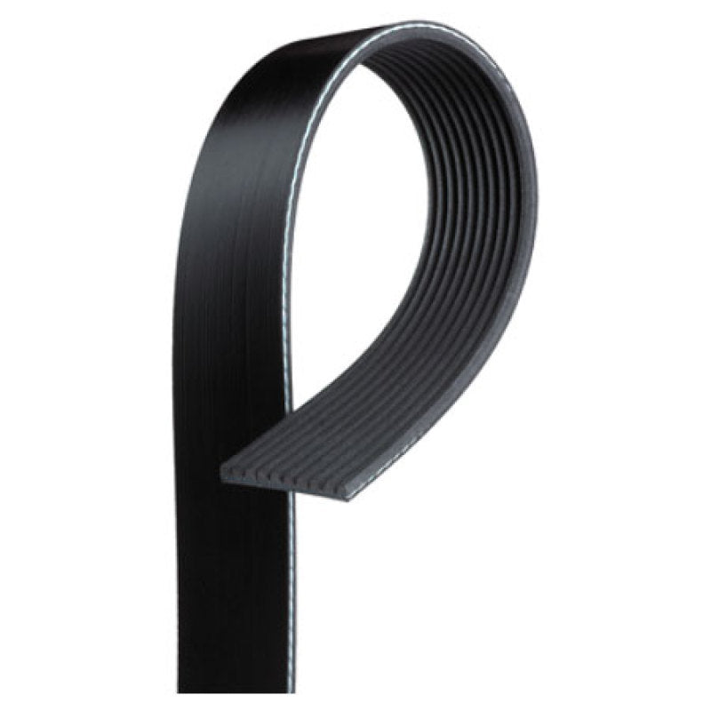VMP Performance Belt for Coyote w/ Gen3R kit and 3.4in-3.5in Pulley - K060815