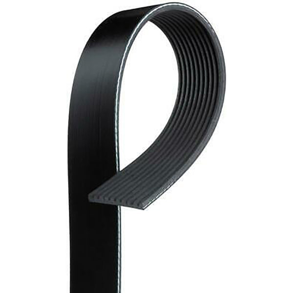 Belt for '07-14 GT500 with 15% OD Lower - K100852 by VMP - front view
