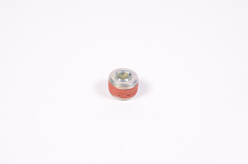 Radium Engineering 3/8in NPT Plug - 14-0173