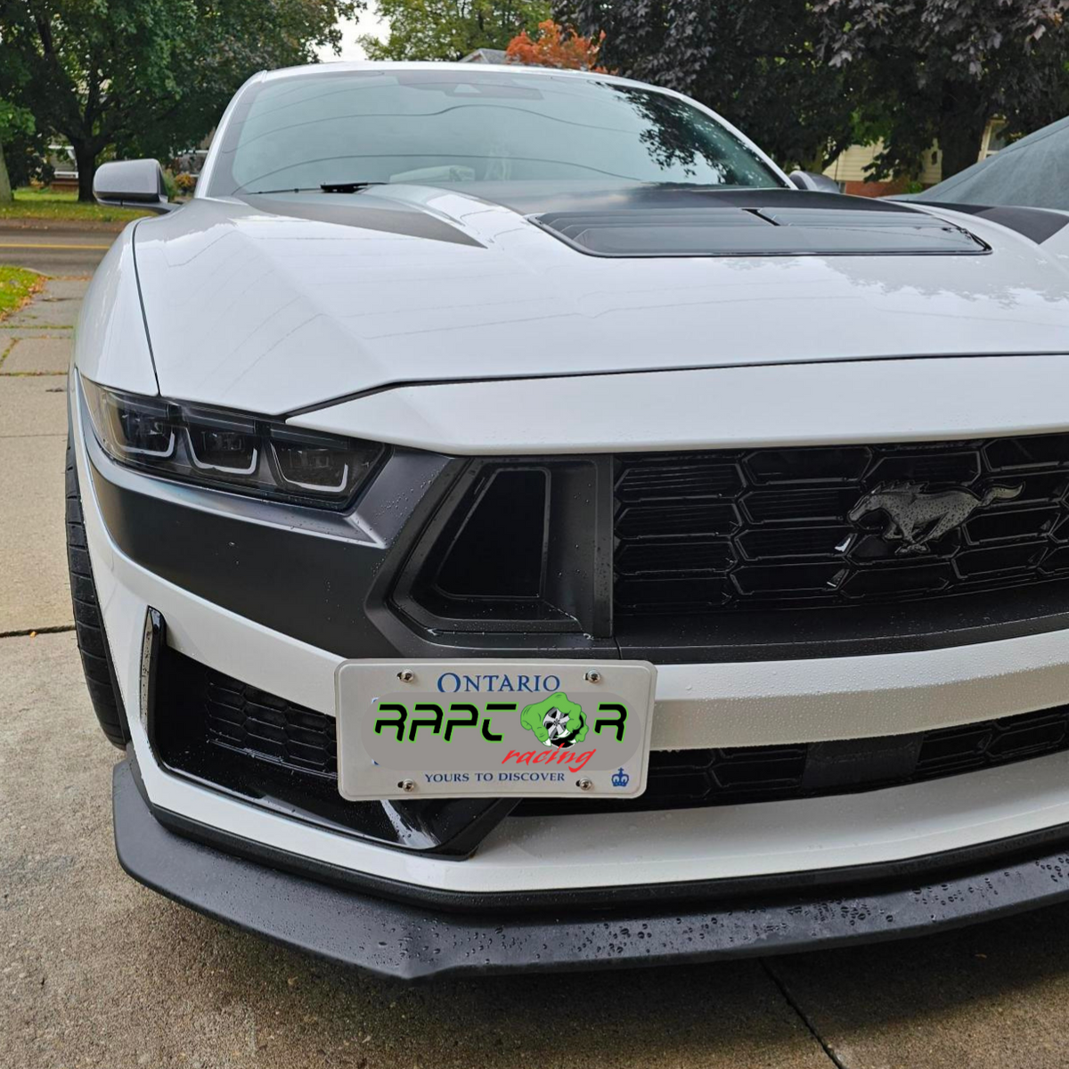 Raptor Racing - Ford Mustang 2024 Dark Horse License Plate Relocation Kit
