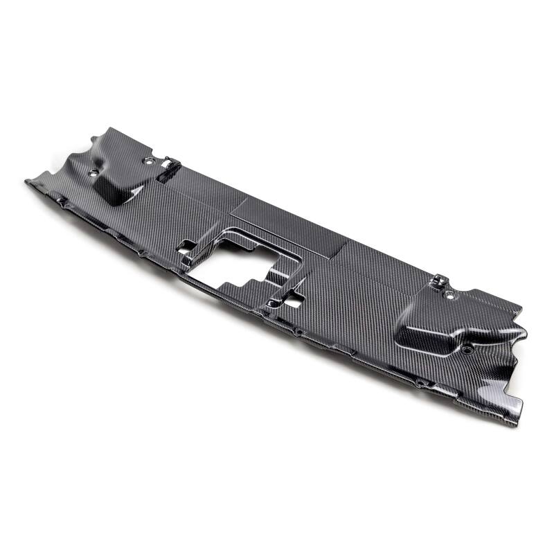 Anderson Composites 18-23 Ford Mustang Radiator Cover - AC-CP18FDMU by Anderson Composites - installed view