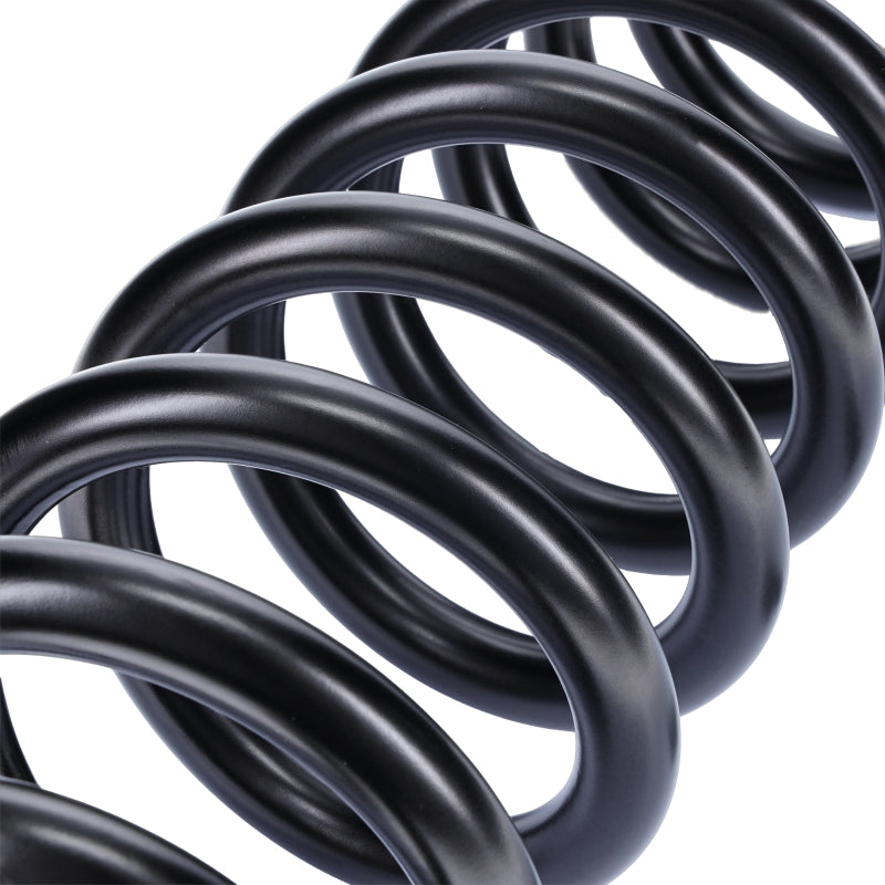 Camburg 05-24 Ford F-250/350 4wd 2.5in. Performance Coil Springs (pair) (diesel) - CAM-110105