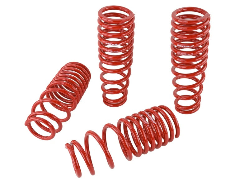 Skunk2 96-00 Honda Civic Lowering Springs (2.50in - 2.25in.) (Set of 4) - 519-05-1550 for 1996-2000 Honda Civic - angle view