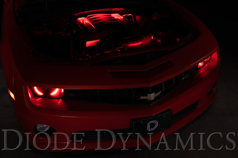 Diode Dynamics RGBW Engine Bay Strip Kit 4pc Multicolor - DD0444