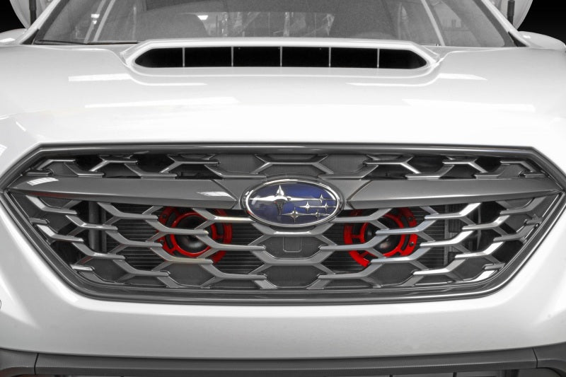 Perrin 22+ Subaru WRX Bracket for Hella Horns - PSP-BDY-305
