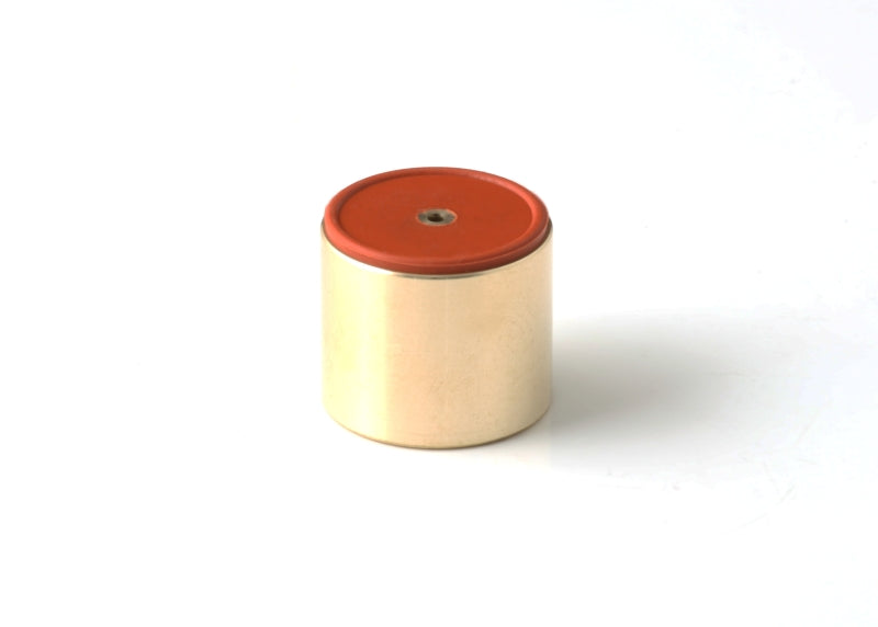 GFB Replacement DV+ Piston (Provide Piston Size/Specs in Order Notes) - 6120