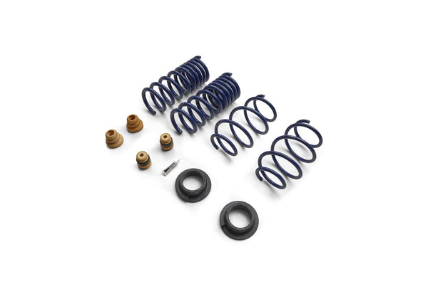 Ford Performance 2015-2024 Mustang Street Lowering Spring Kit (FRPM-5300-S65S)