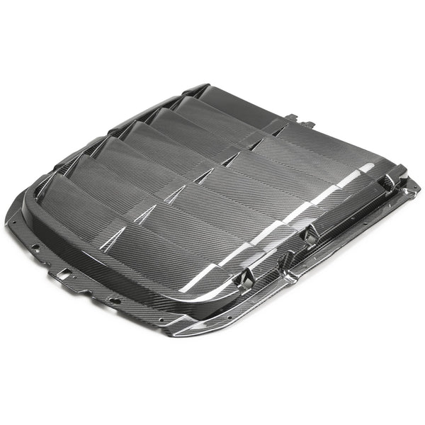 Ford Performance 2020-2022 GT500 Carbon Fiber Hood Vent Kit (FRPM-16612-C20)