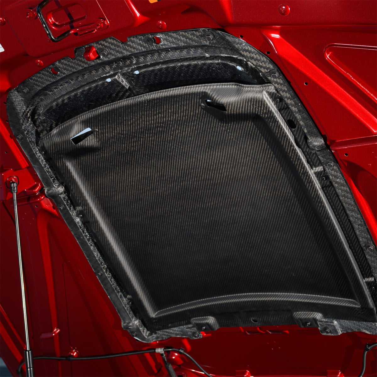 Ford Performance 2020-2022 GT500 Carbon Fiber Hood Vent Kit — additional view (FRPM-16612-C20)