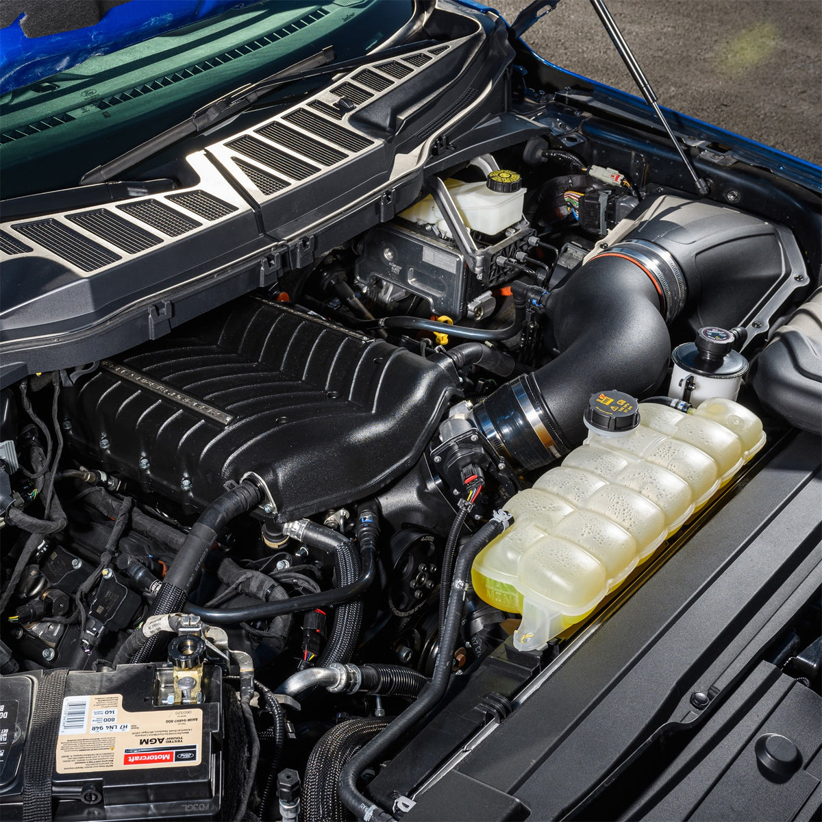 Ford Performance 2021-2025 F150 5.0L Supercharger Kit (FRPM-6066-F150SCA)