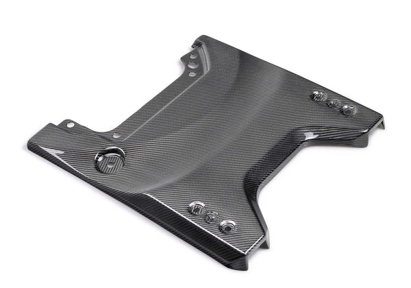 Ford Performance 2022-2025 Bronco Raptor Carbon Fiber Tailgate Applique-Gloss (FRPM-16600-BG)